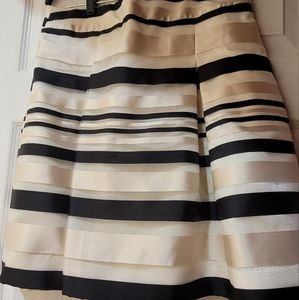 Banana Republic Organza Party Skirt Size 6